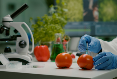 Food Safety Audit